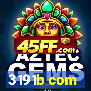 3191b com